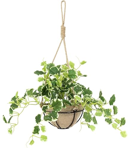 Amazon｜アートクリエイション(Art Creation) 光触媒 人工観葉植物 光